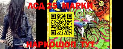 индика Будённовск