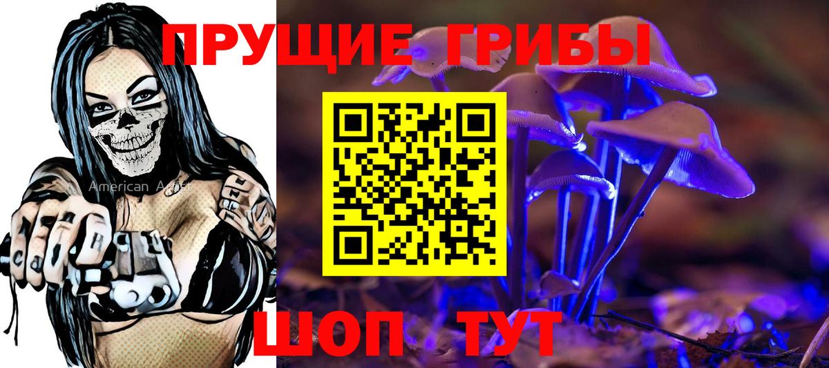 Галлюциногенные грибы Psilocybe  Вход с VPN  Мелеуз 